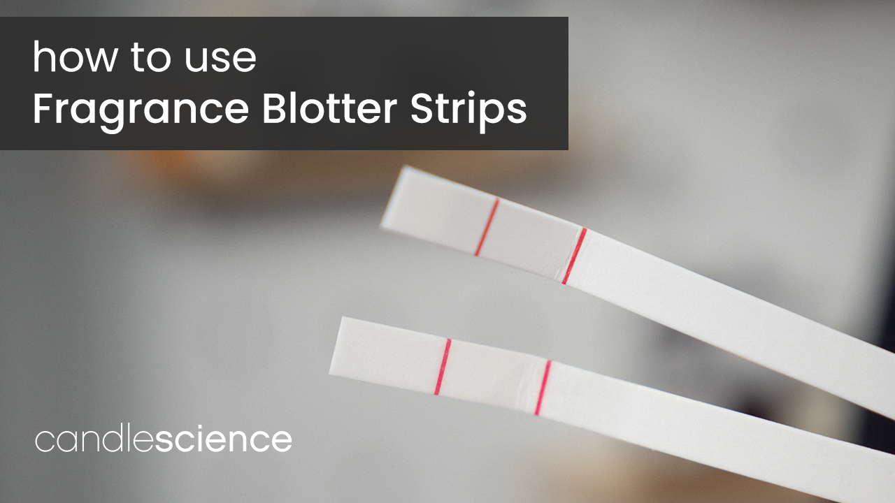 TUTORIAL Fragrance Blotter Strips CandleScience